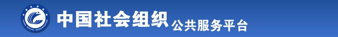 国产插骚嫩逼全国社会组织信息查询